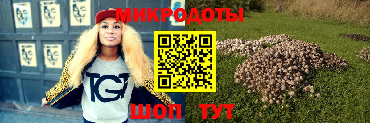 Кемерово  Галлюциногенные грибы GOLDEN TEACHER  Вход с VPN 